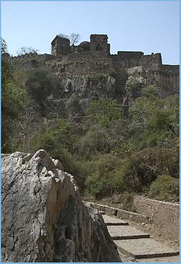 The imposing wall of Ranthambore Fort 